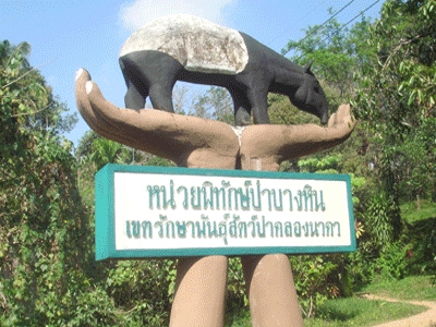 หน่วยพิทักษ์ป่า